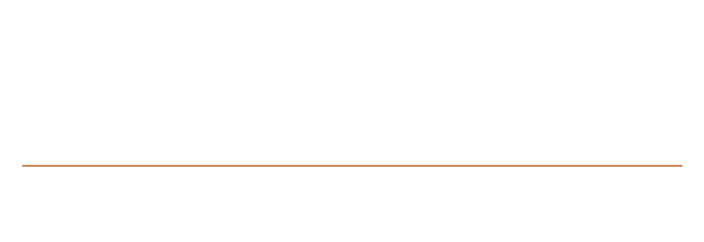 Royal Chimney Service - Cleaning and Repair logo